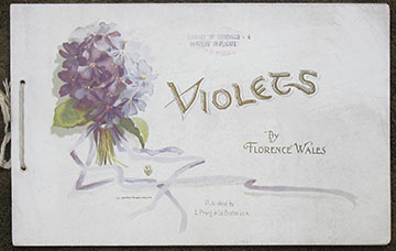 Image for Violets.