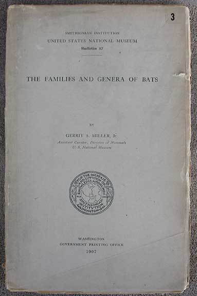 Image for The Families and Genera of Bats.