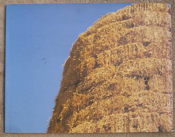 Image for Jerry Pethick: Straw Tower. May 5 - July 31, 1998.