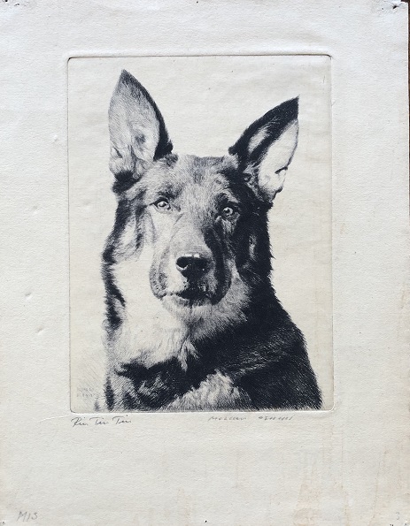 Image for Rin Tin Tin.