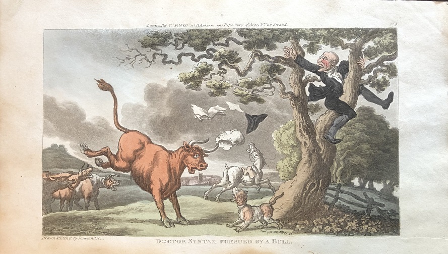 Image for Doctor Syntax Pursued by A Bull. [From: The Tour of Doctor Syntax In Search of the Picturesque. A Poem. 7th Edition with new Plates].