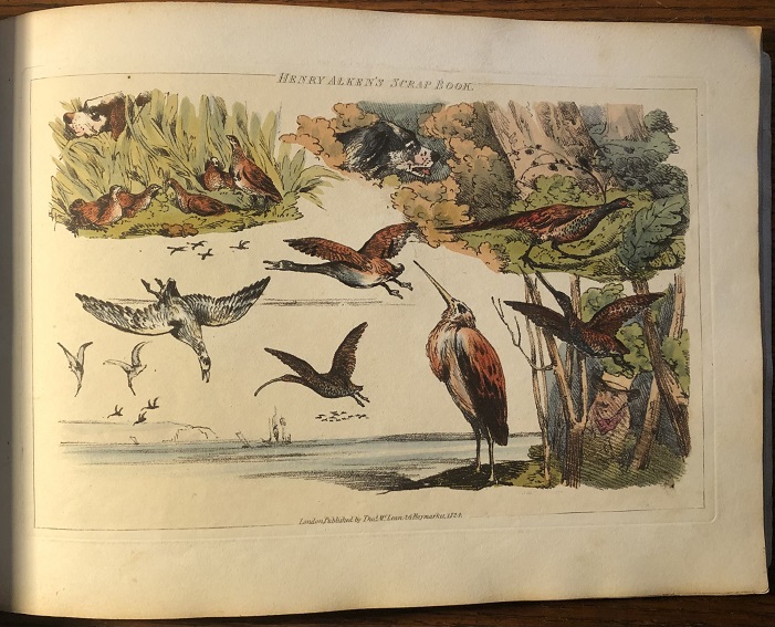 Thumbnail Image
