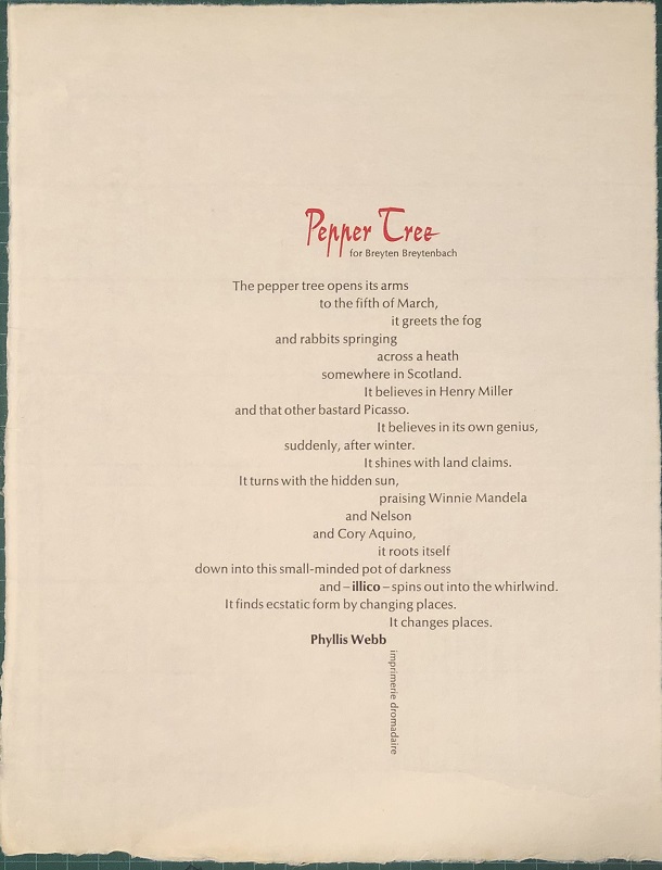 Image for Pepper Tree. for Breyten Breytenbach.