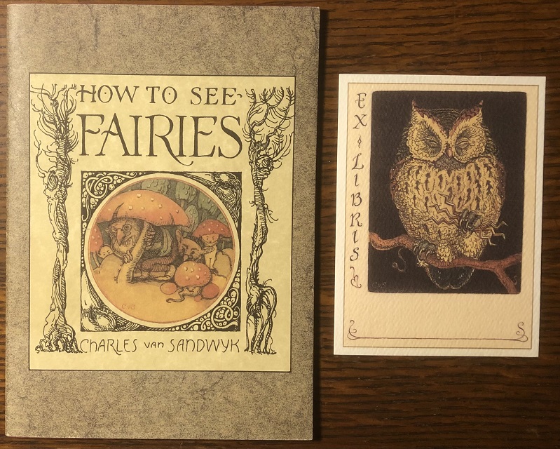 Image for How To See Fairies.