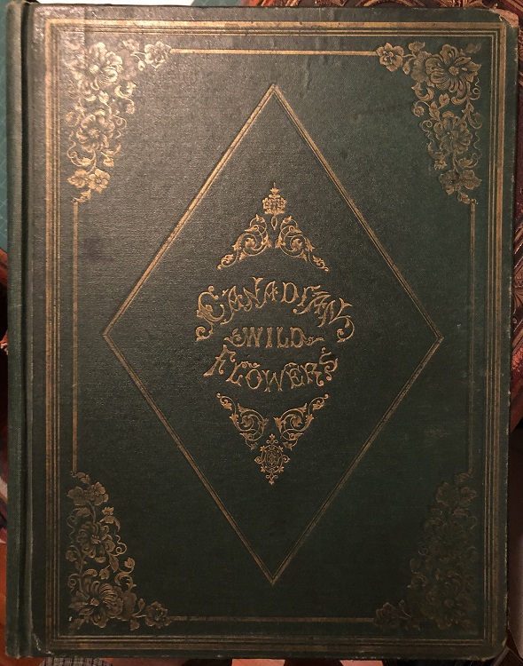Canadian Wild Flowers. Painted and Lithographed by Agnes Fitzgibbon with Botanical Descriptions by C.P. Traill. Authoress of The Backwoods of Canada